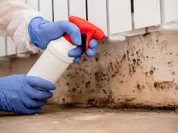 Best Asbestos and Lead Testing During Mold Inspection in Fairfield, TX